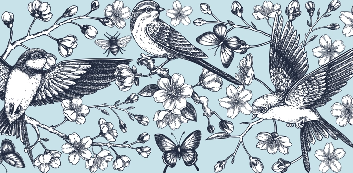 Hand drawn floral illustration for print. T-shirt design. Cherry blossom and flying bird sketch illustration. Vintage spring background. NOT AI generated